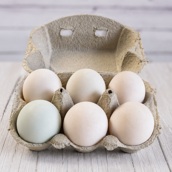 6 eggs Free Range Duck eggs